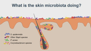 Nurture Your Skin's Microbiome